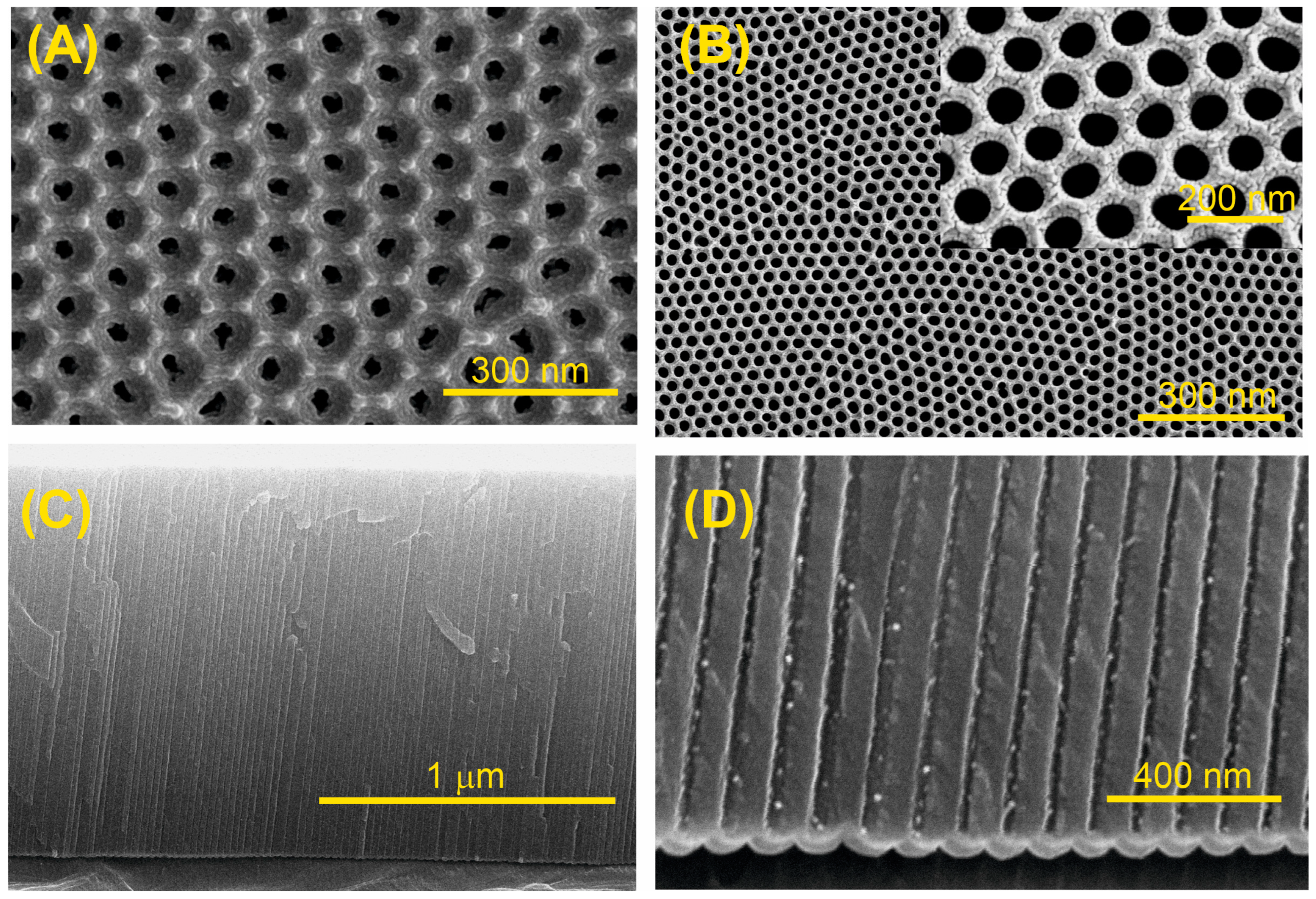 Sensors 25 01021 g004