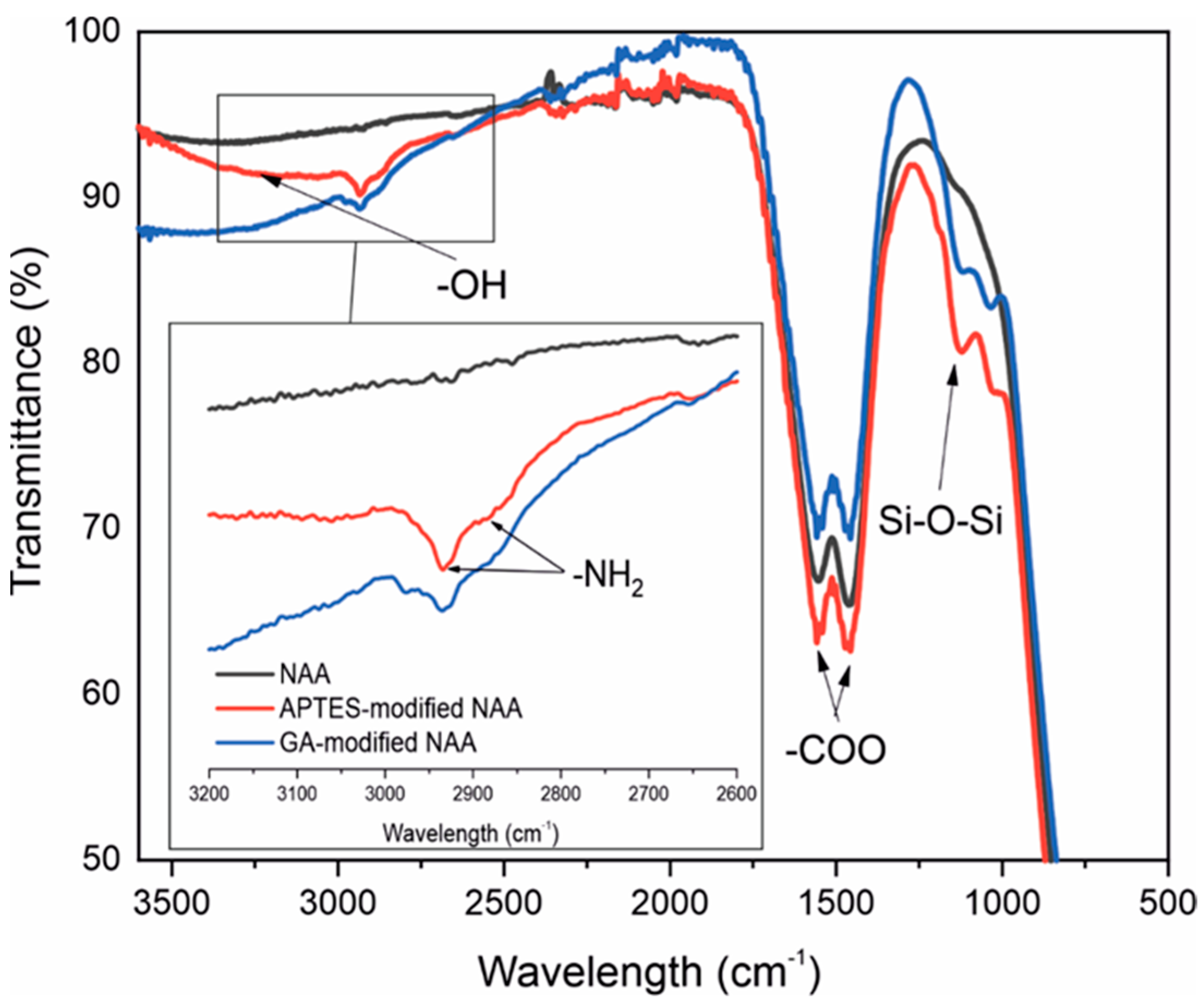 Sensors 25 01021 g005