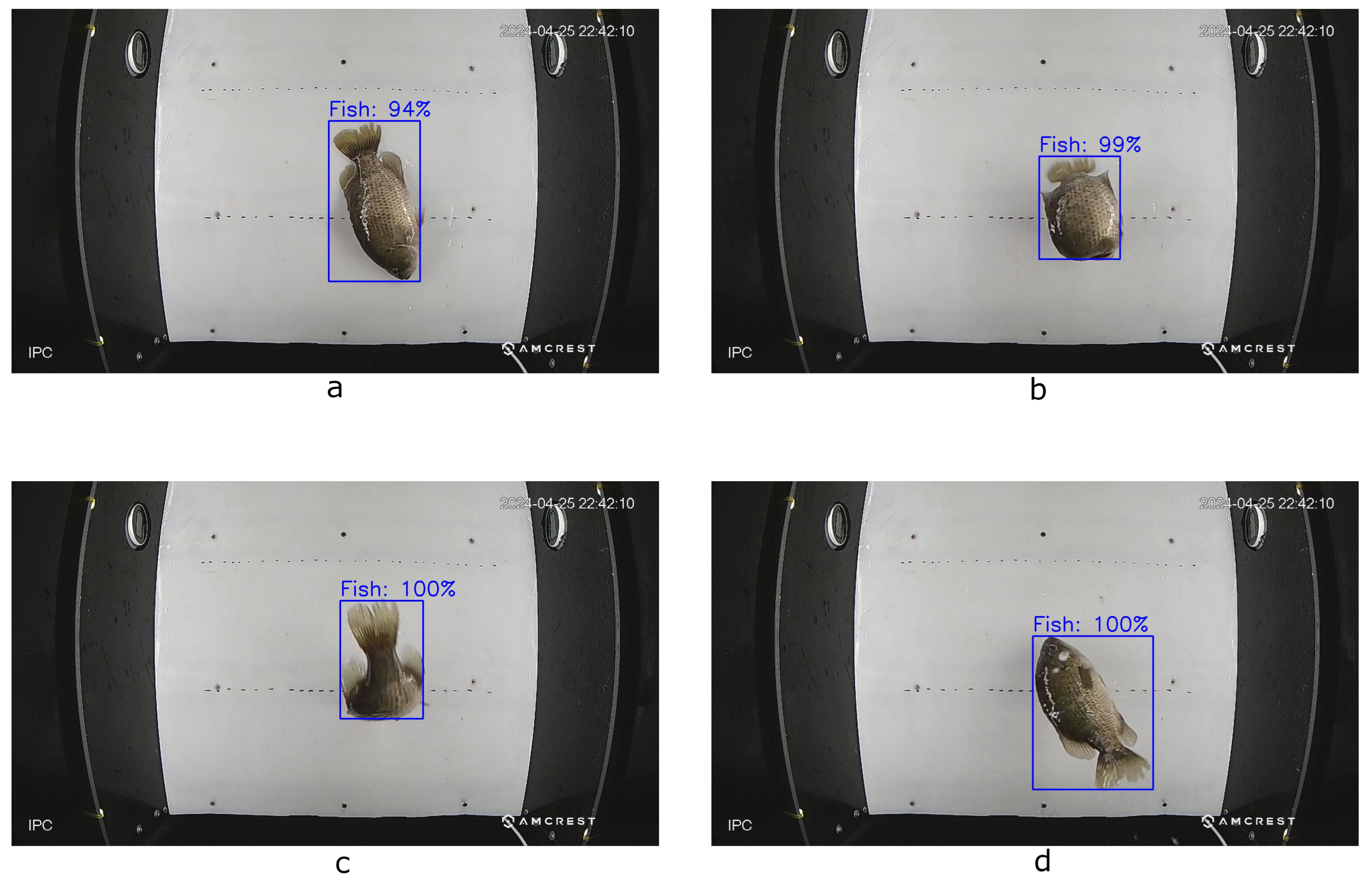 Sensors 25 01022 g003