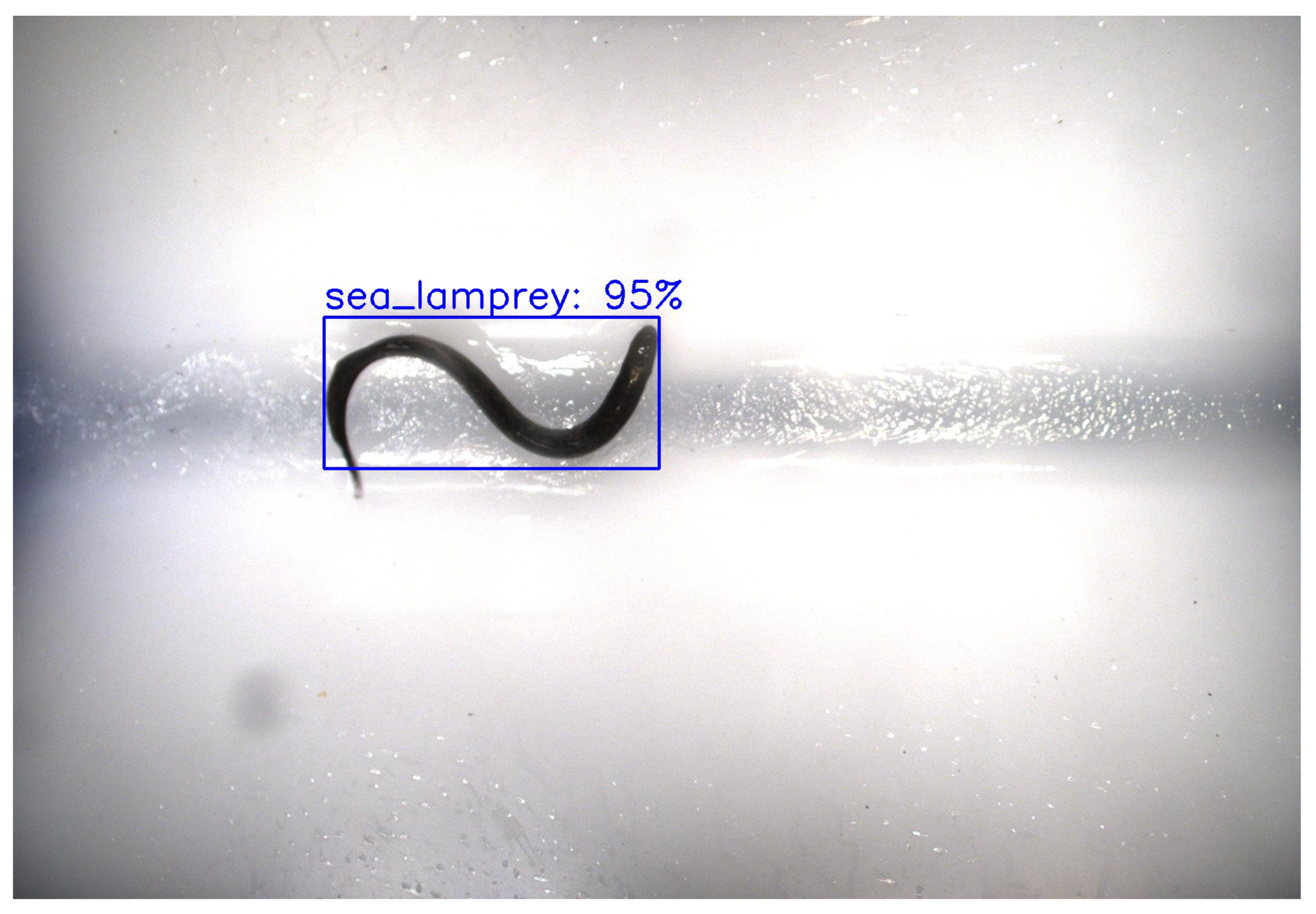 Sensors 25 01022 g004