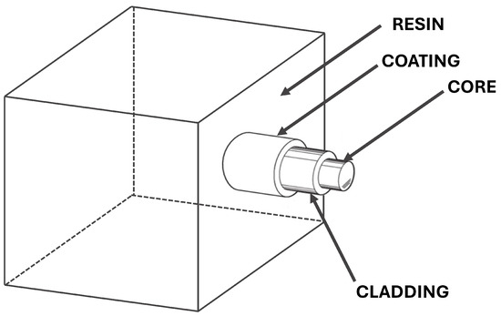 Sensors 25 01037 g001
