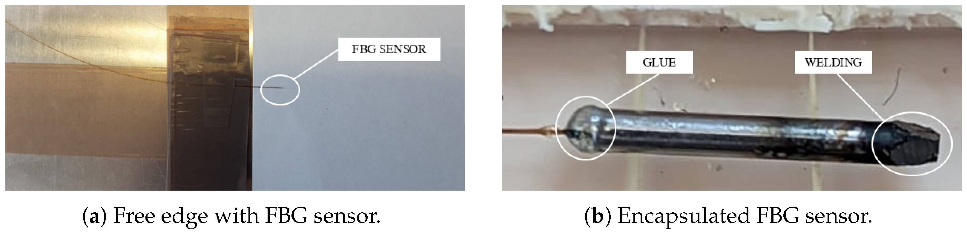 Sensors 25 01037 g003 Sensors 25 01037 g003