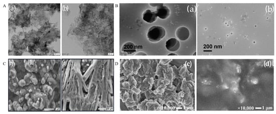 Sensors 25 01045 g004