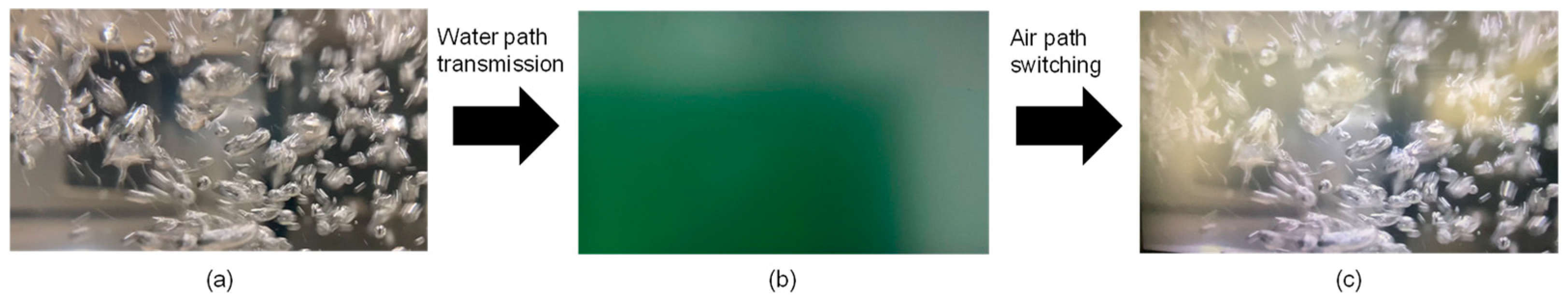 Sensors 25 01053 g013