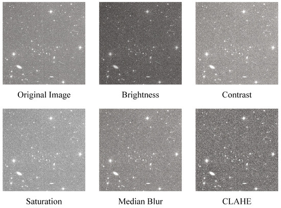 Sensors 25 01146 g008