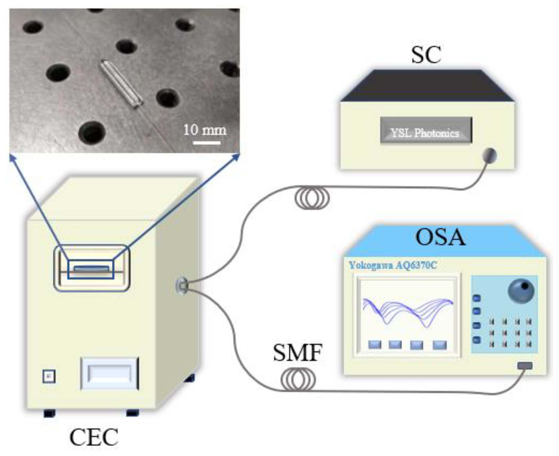 Sensors 25 01191 g004