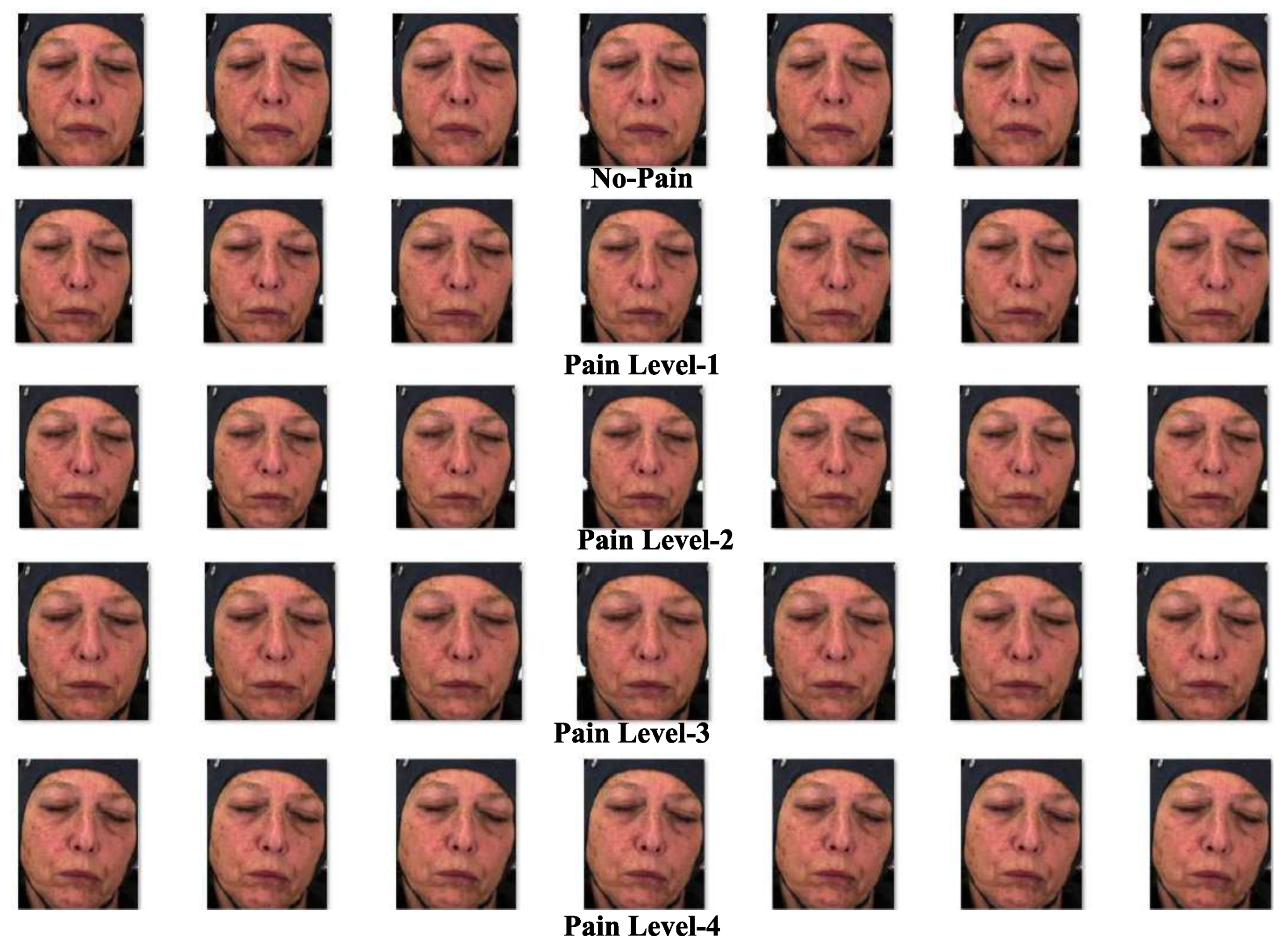 Sensors 25 01223 g008