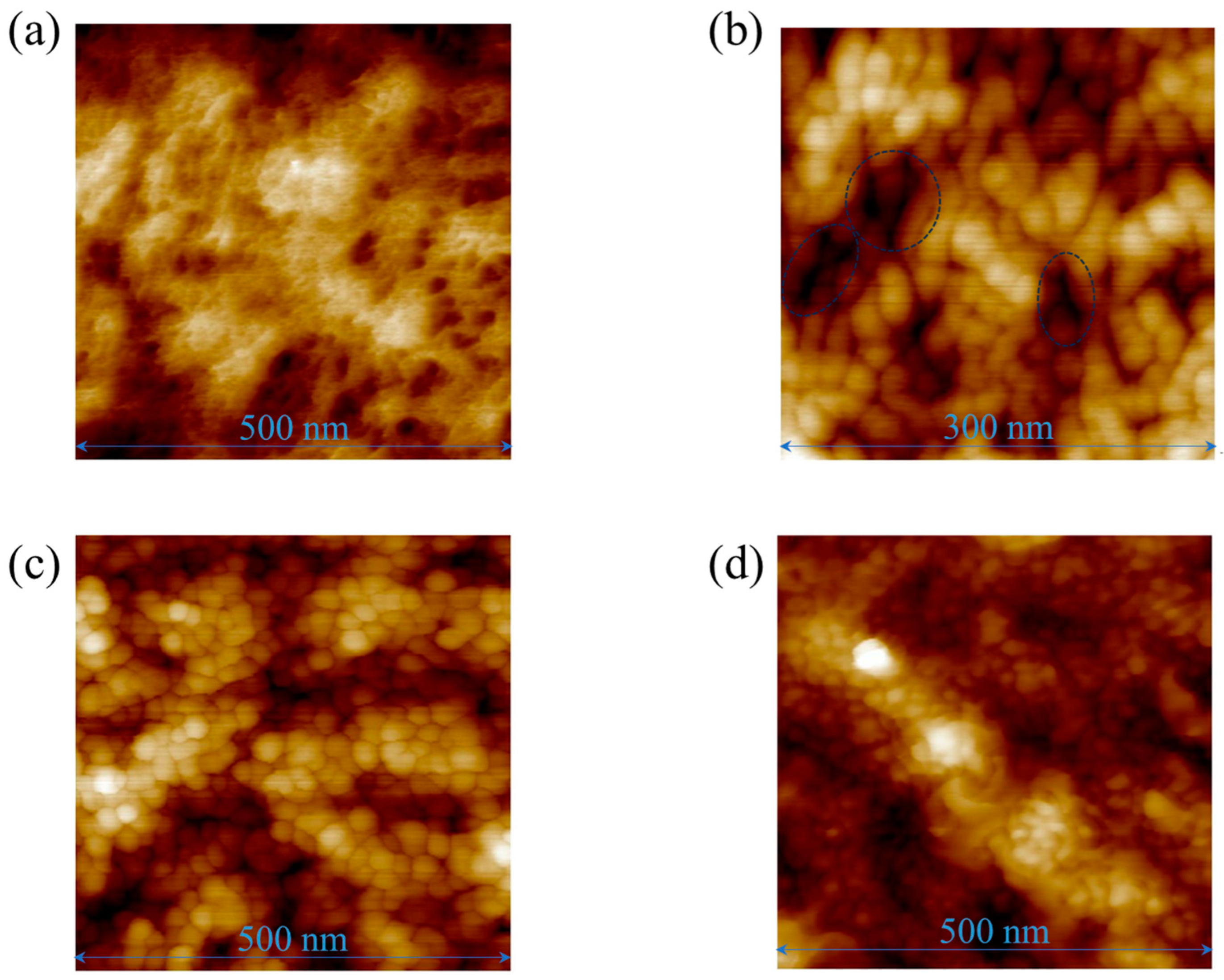 Sensors 25 01243 g006