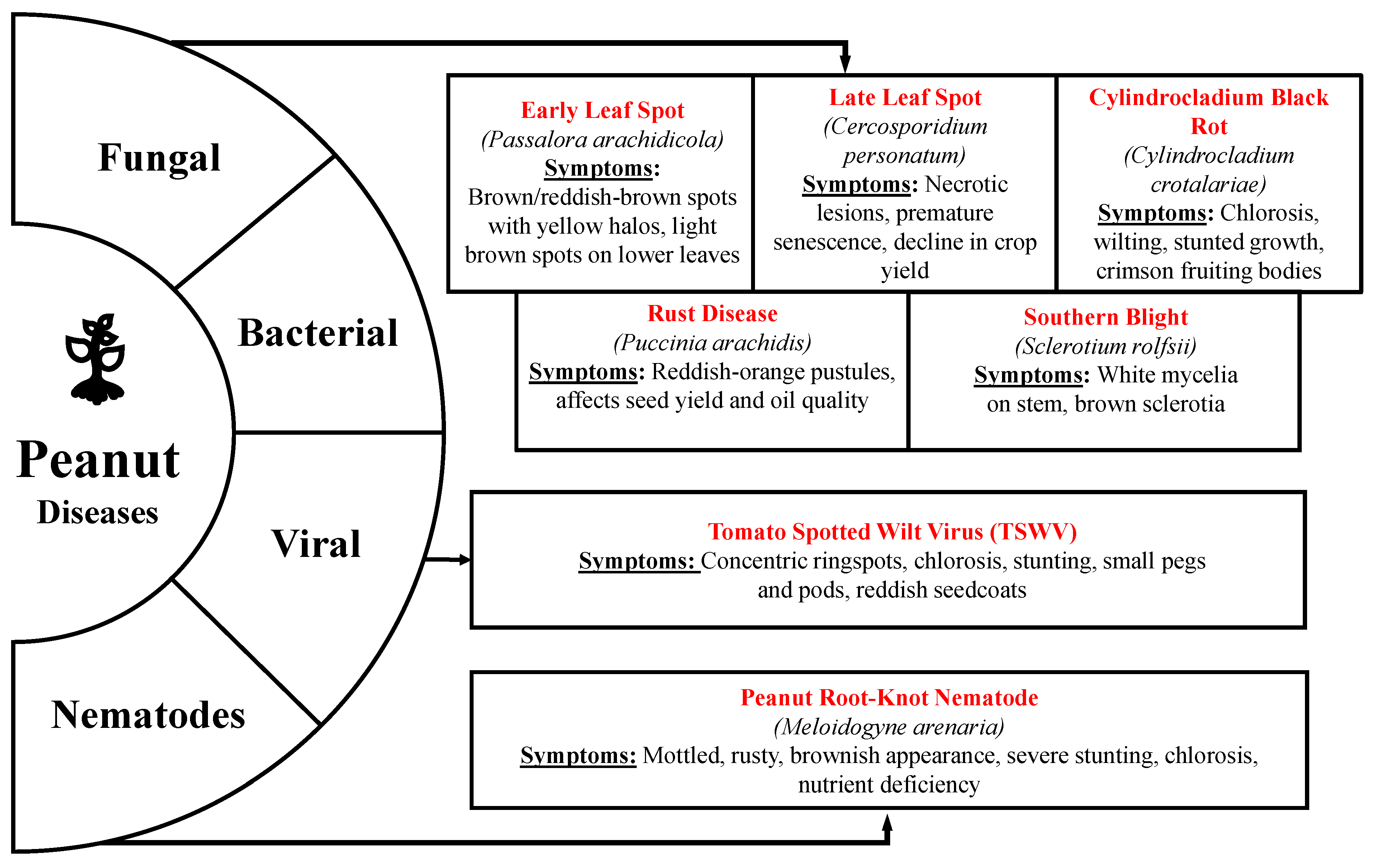 Sensors 25 01255 g001