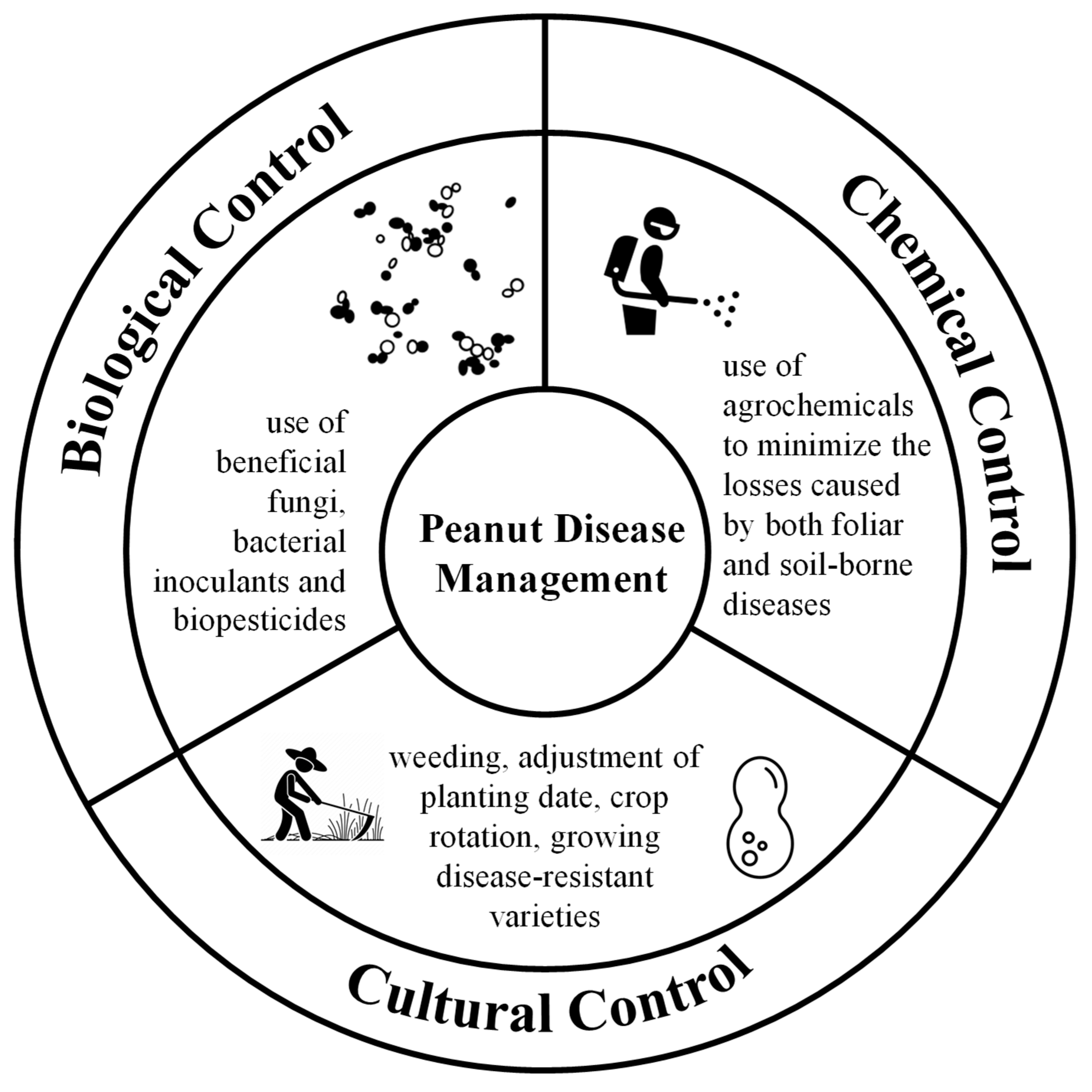 Sensors 25 01255 g002