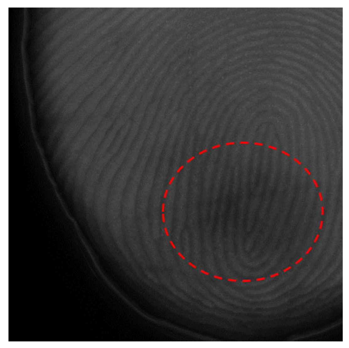 Sensors 25 01276 g003