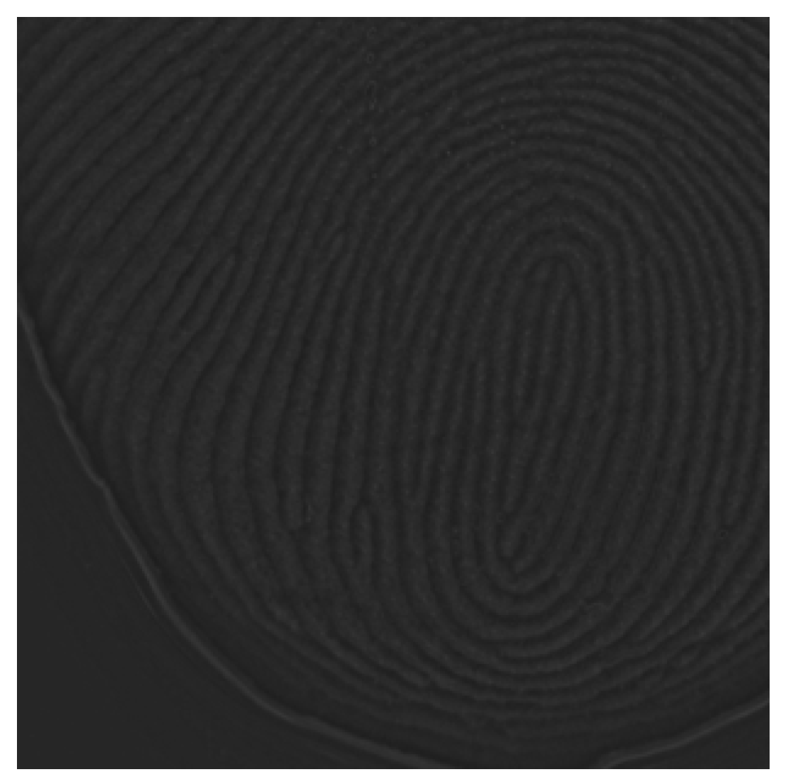 Sensors 25 01276 g004