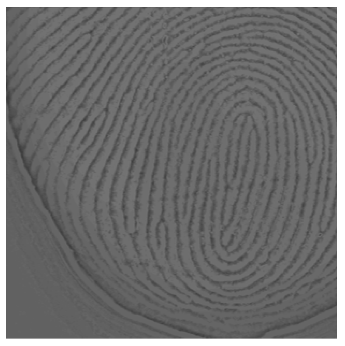 Sensors 25 01276 g005