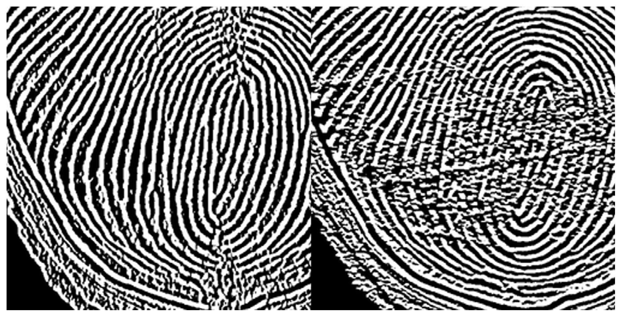 Sensors 25 01276 g006