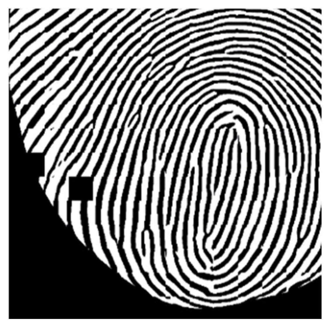 Sensors 25 01276 g009