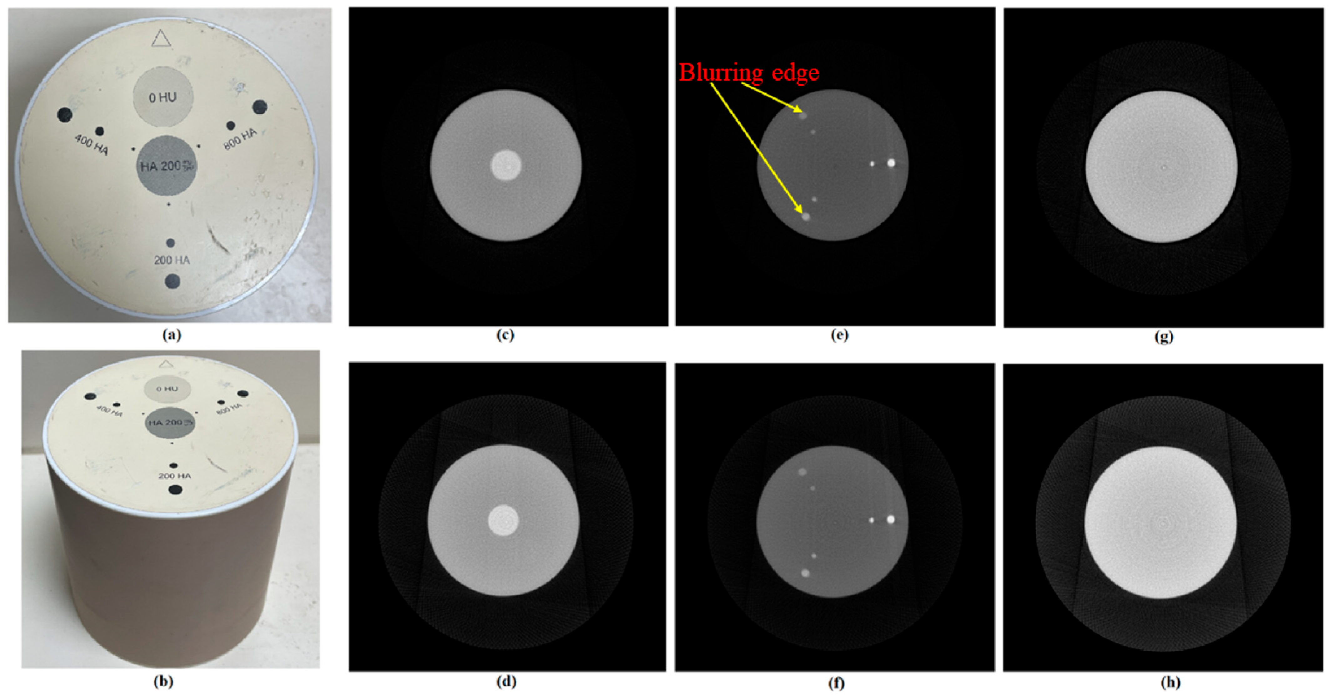 Sensors 25 01282 g008