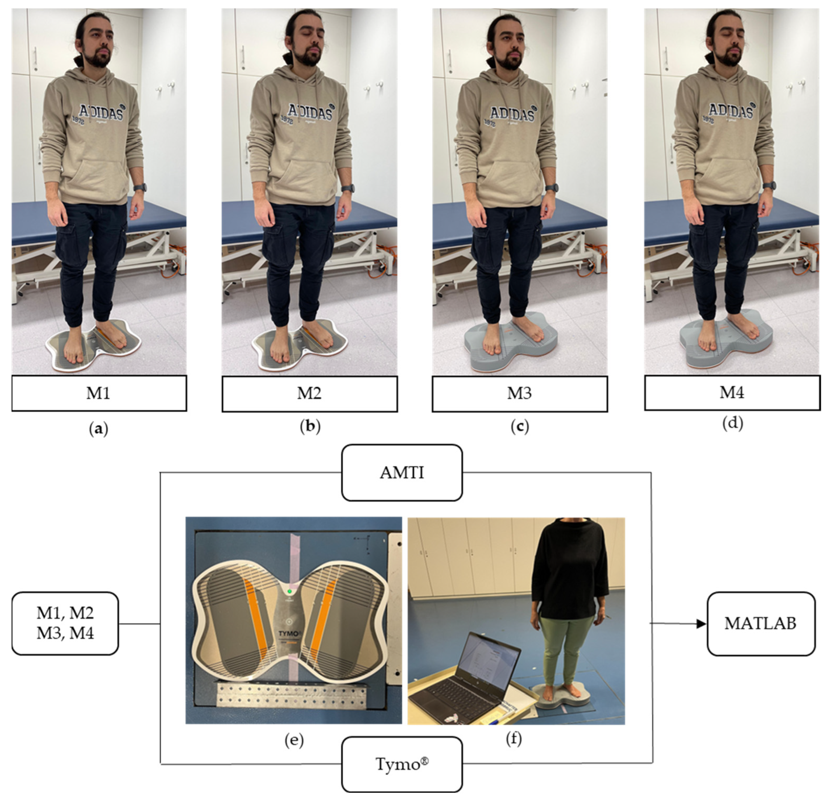 Sensors 25 01309 g001