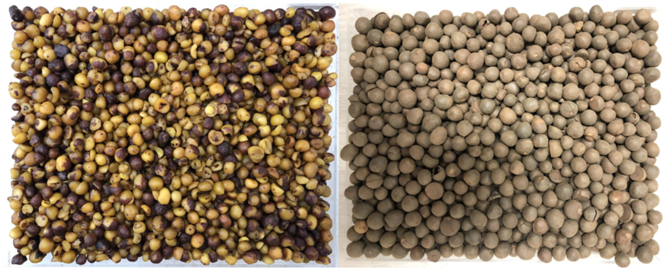 Sensors 25 01324 g001