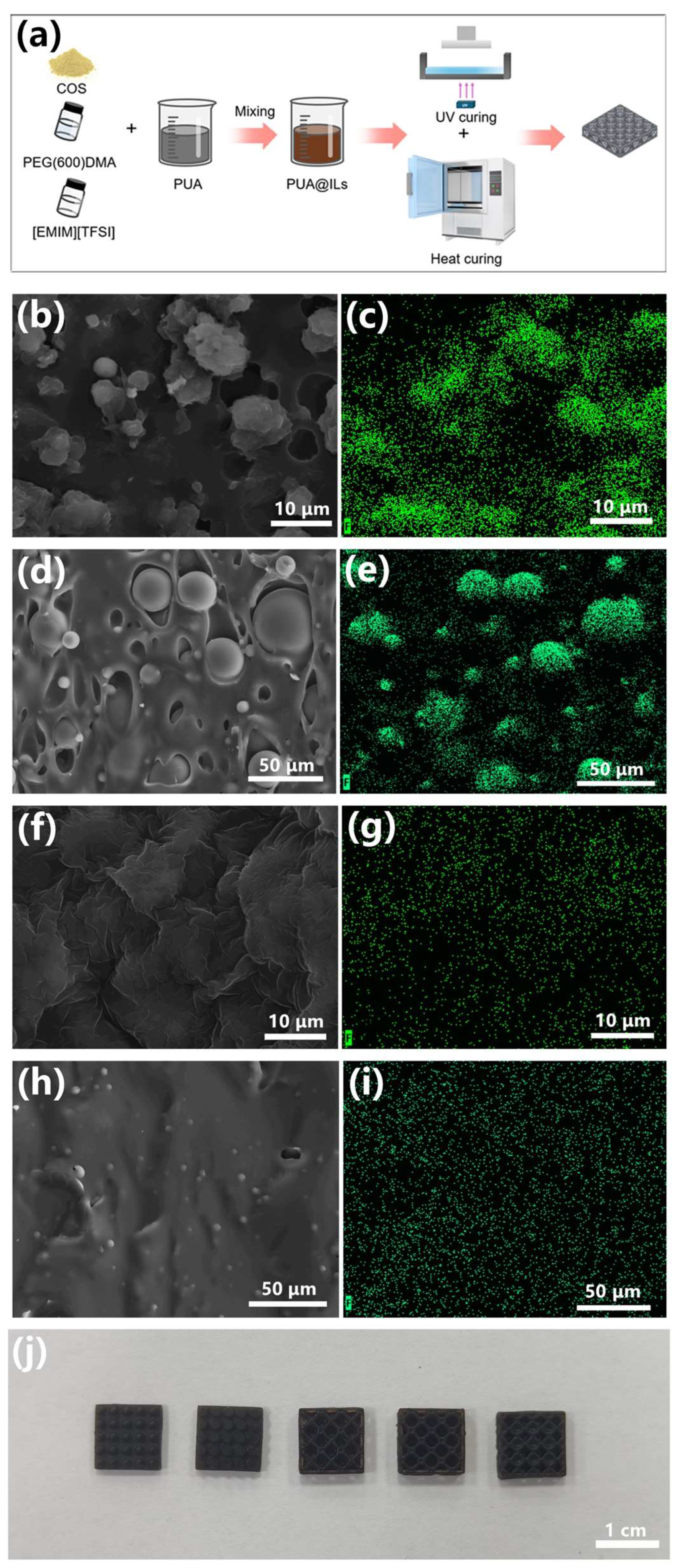 Sensors 25 01348 g002
