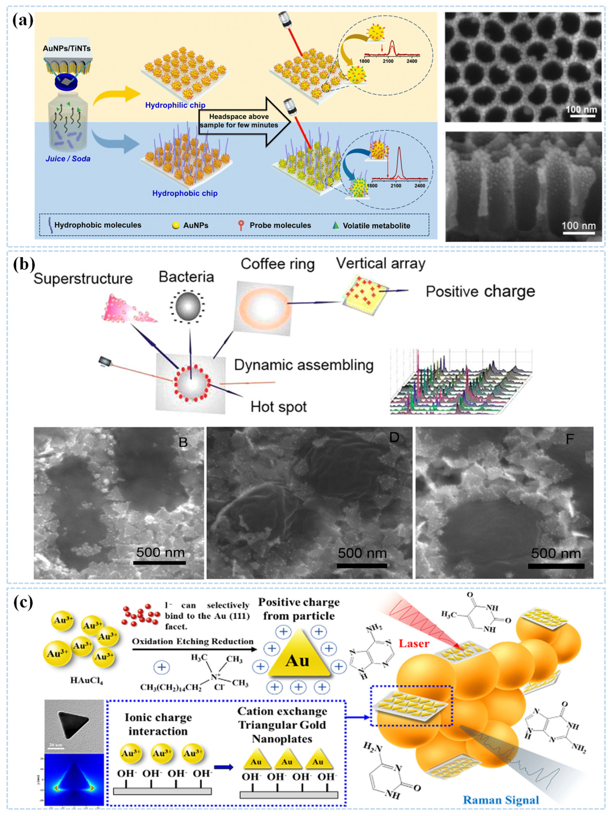 Sensors 25 01370 g003