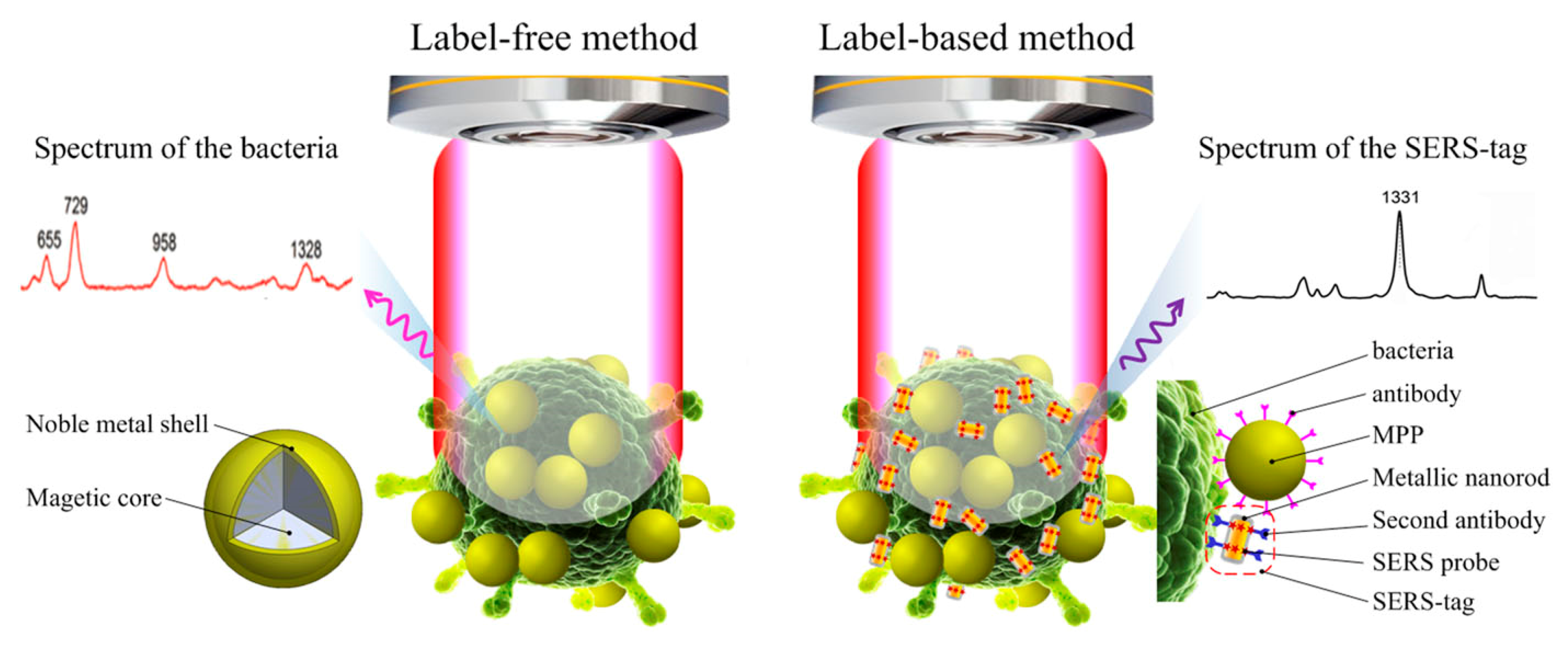 Sensors 25 01370 g004