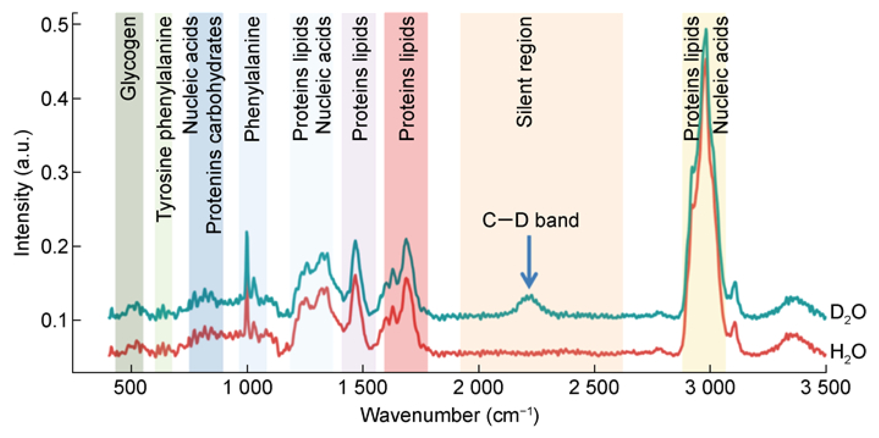 Sensors 25 01370 g005