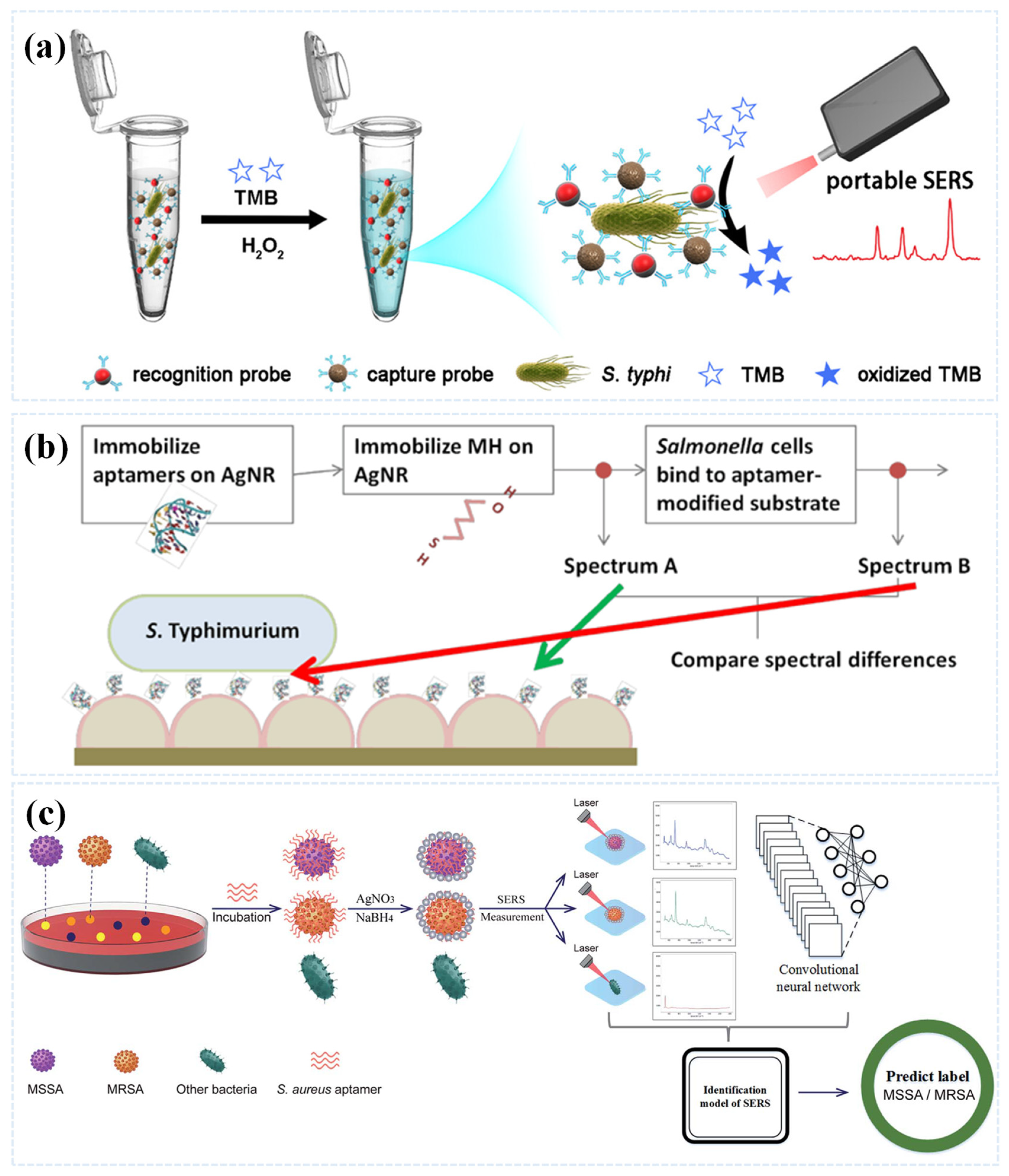 Sensors 25 01370 g007