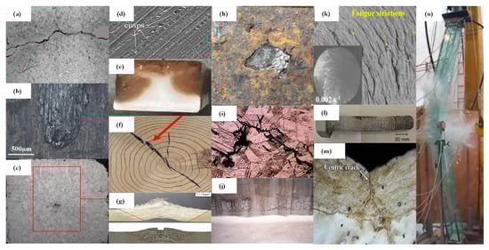 Sensors 25 01424 g002