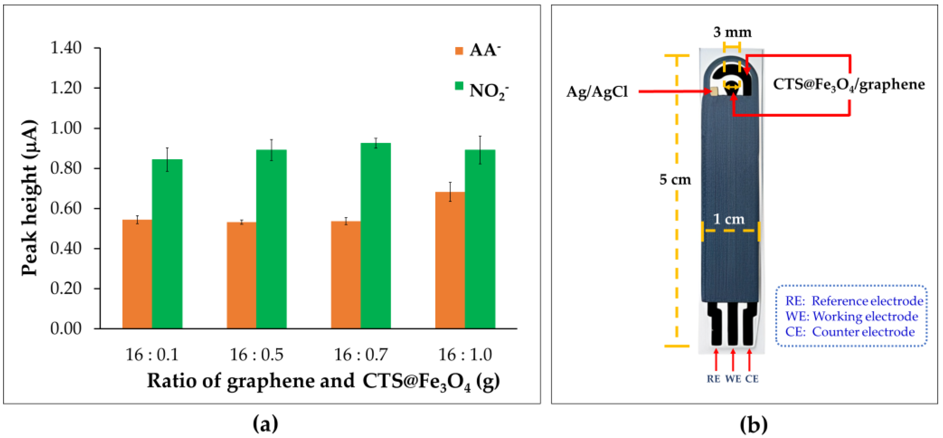 Sensors 25 01431 g005