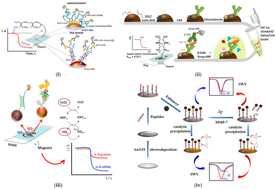Sensors 25 01459 g004