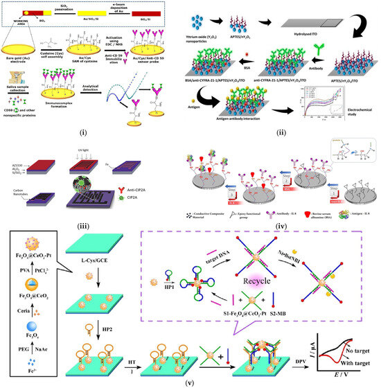 Sensors 25 01459 g006