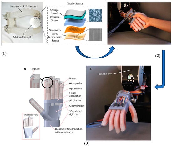 Sensors 25 01508 g008