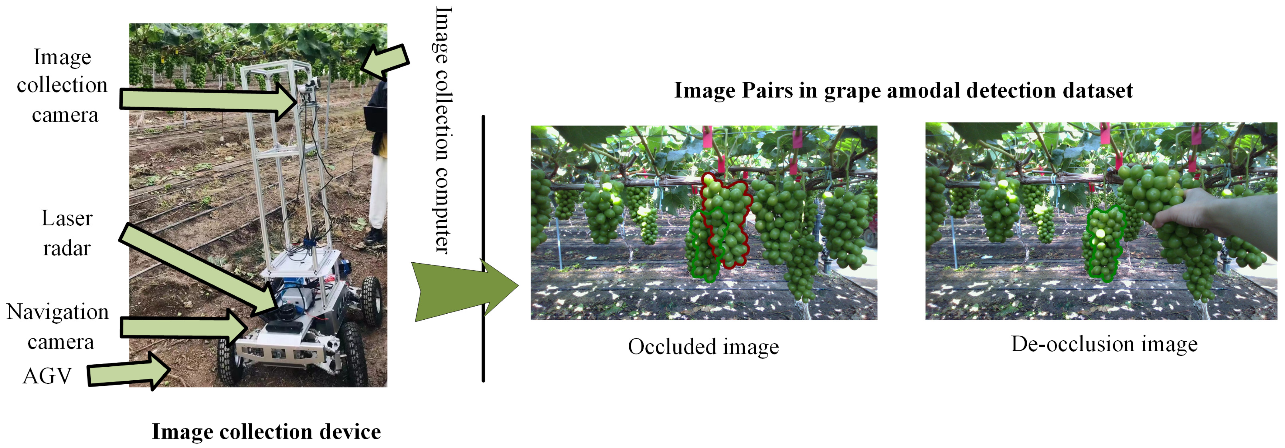Sensors 25 01546 g007