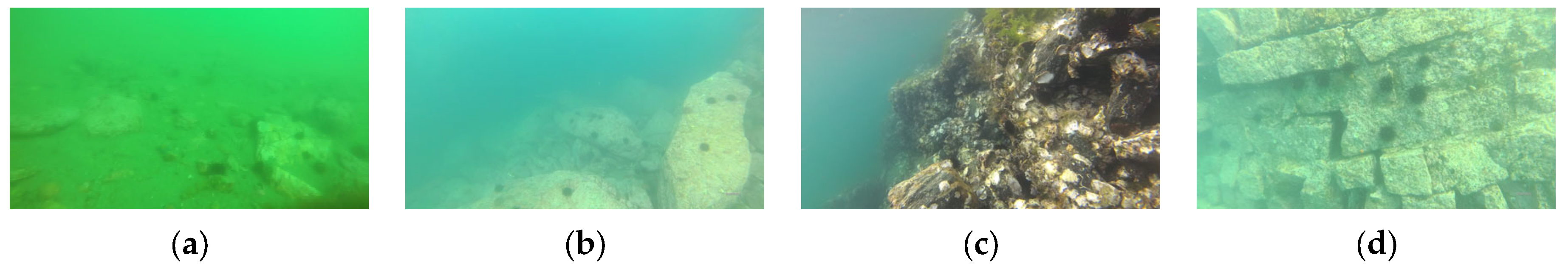 Sensors 25 01595 g001