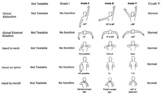 Sensors 25 01619 g001
