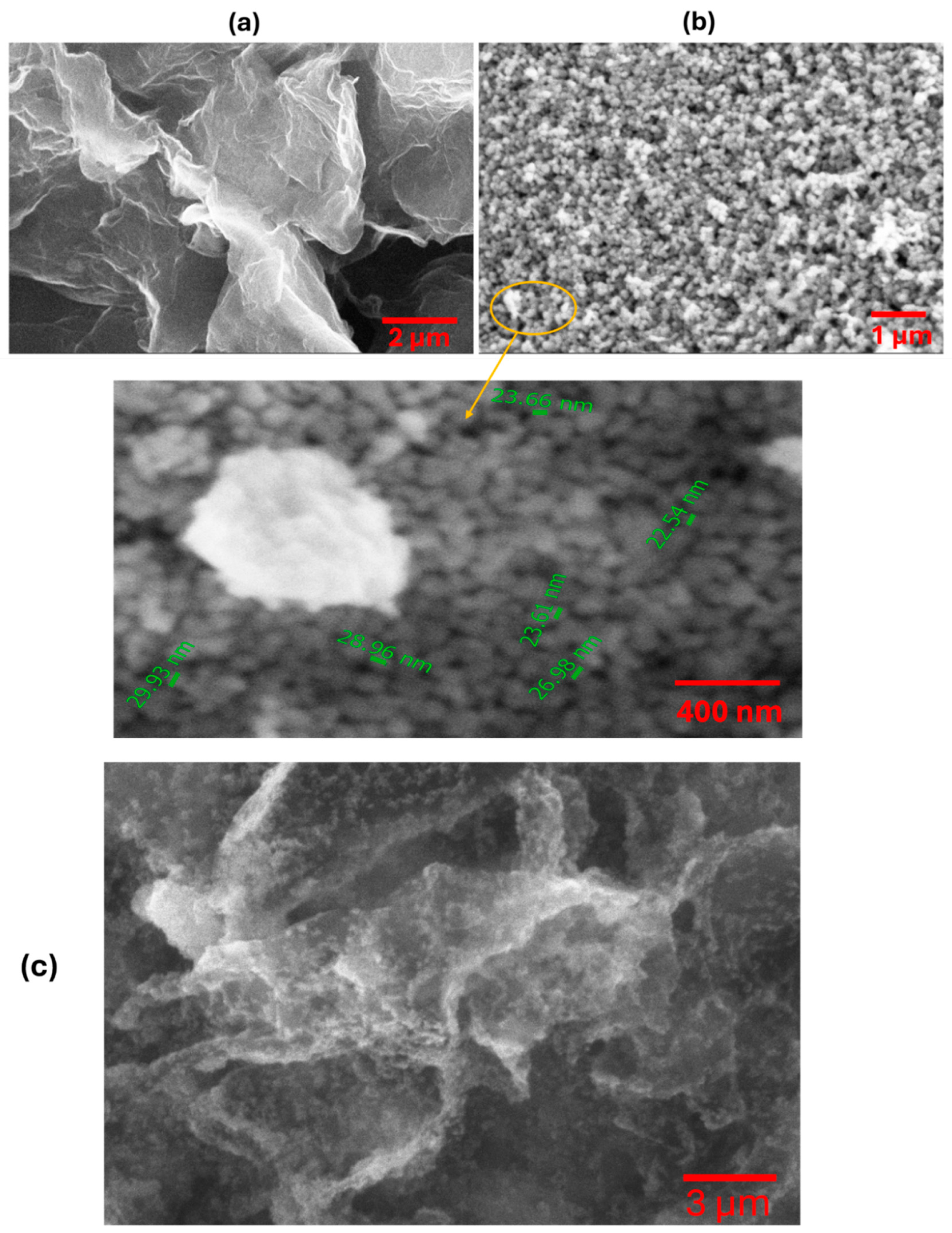 Sensors 25 01631 g003