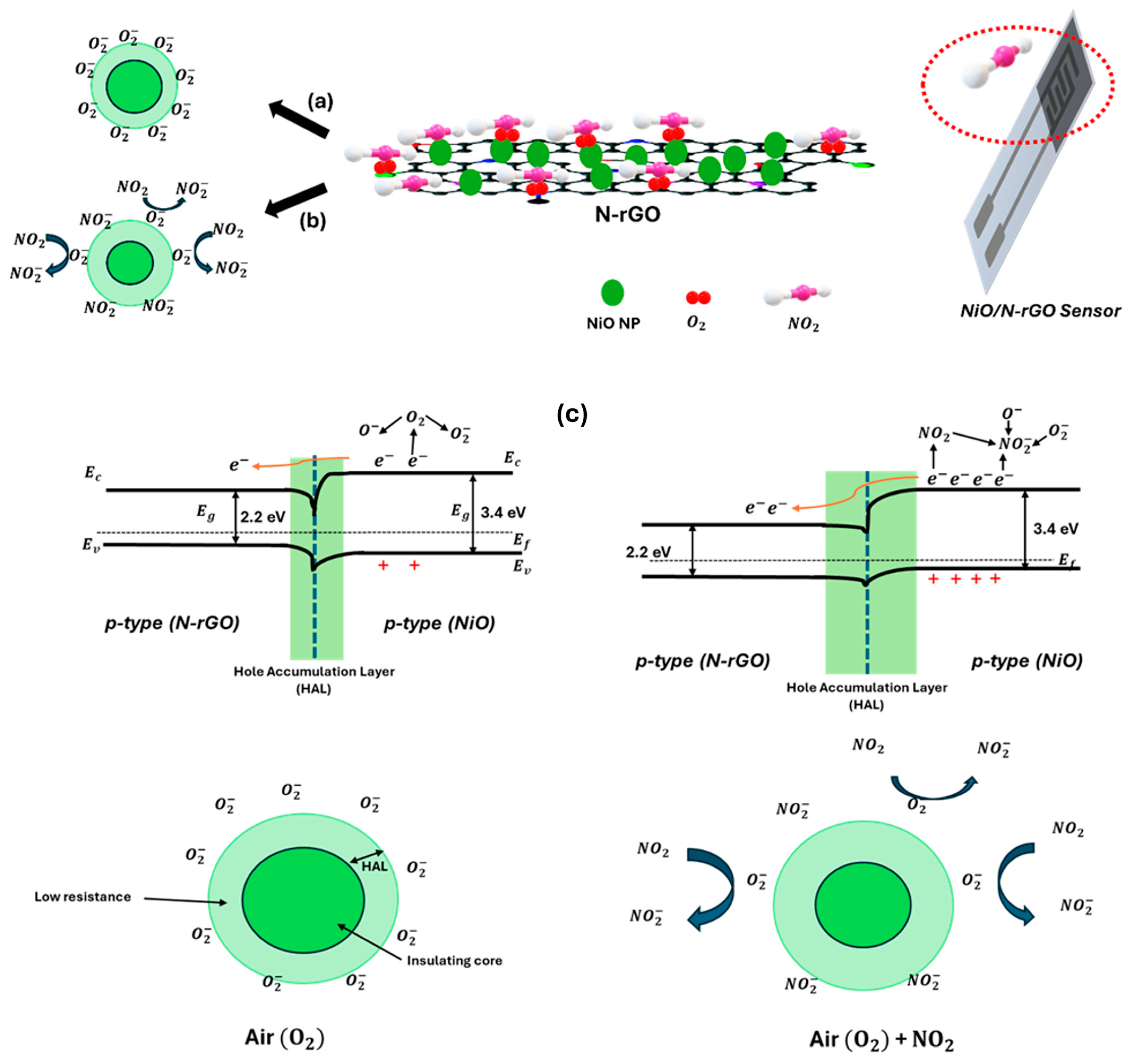 Sensors 25 01631 g009