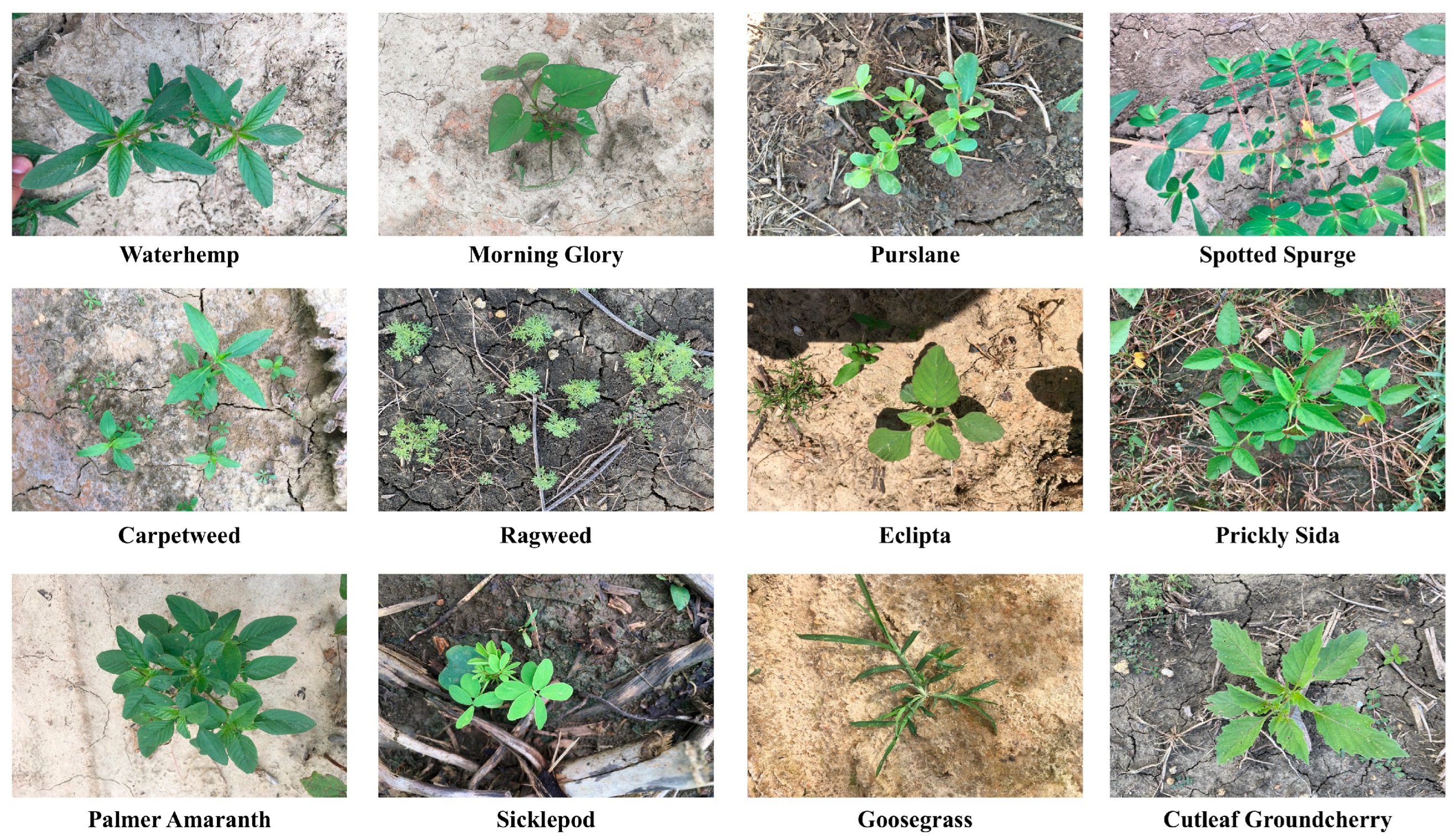 Sensors 25 01635 g006