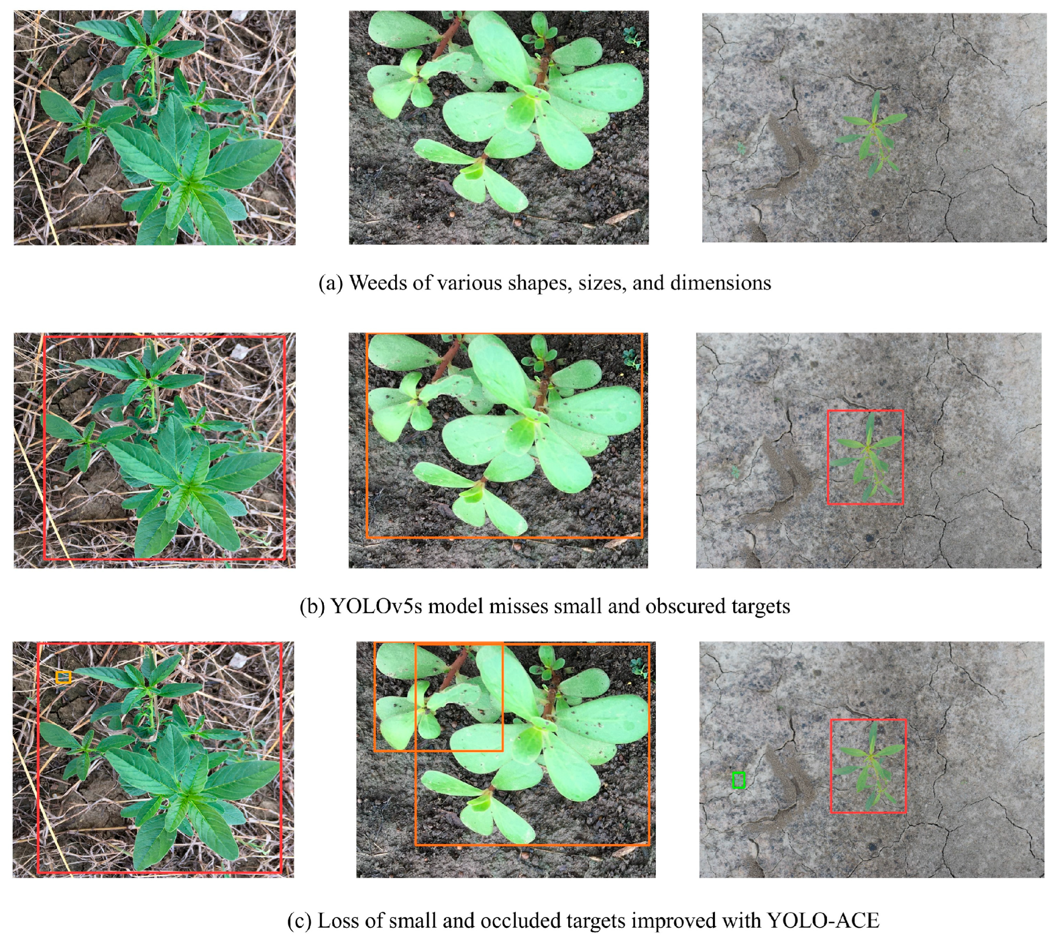 Sensors 25 01635 g008