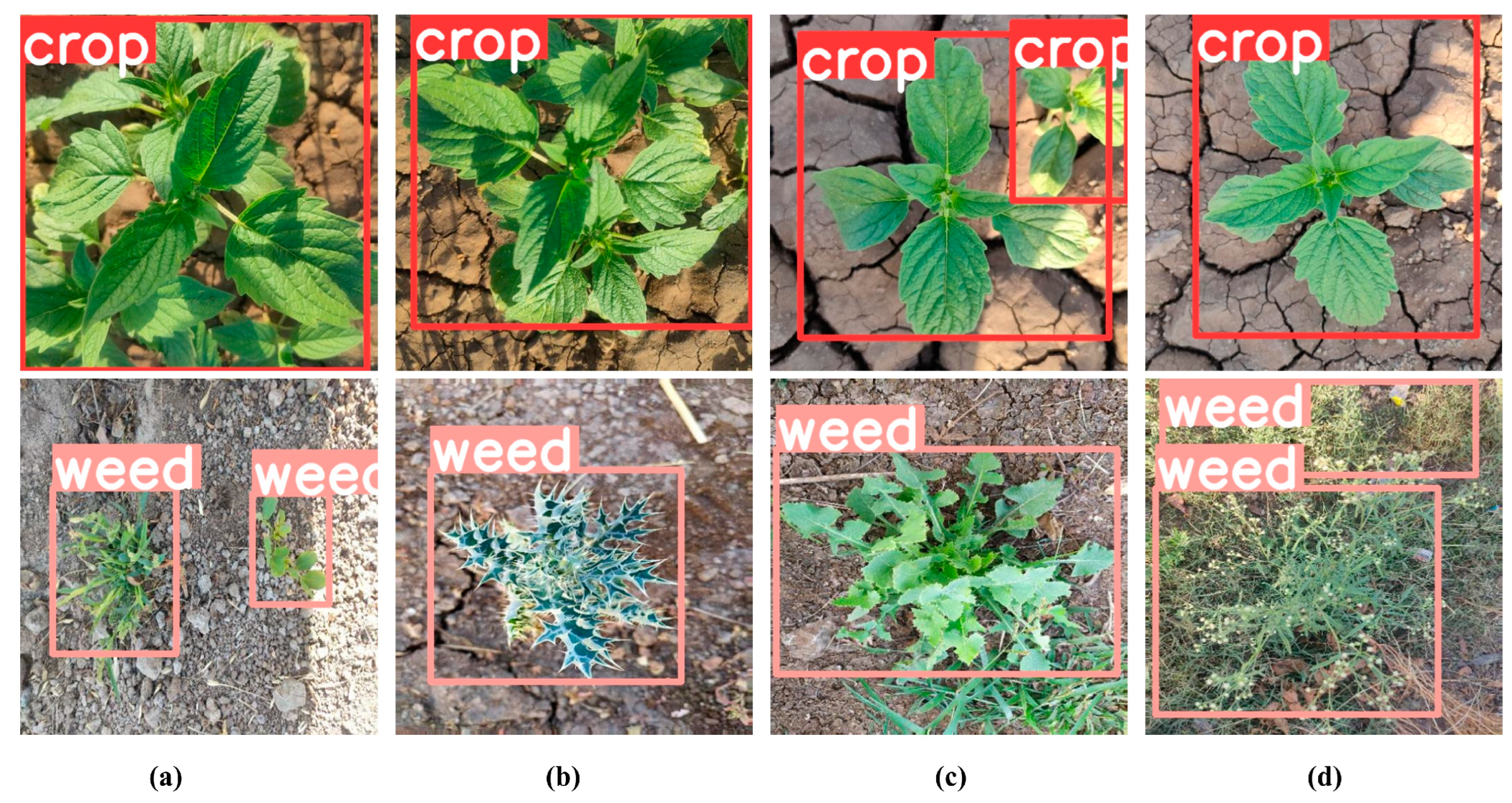 Sensors 25 01635 g010