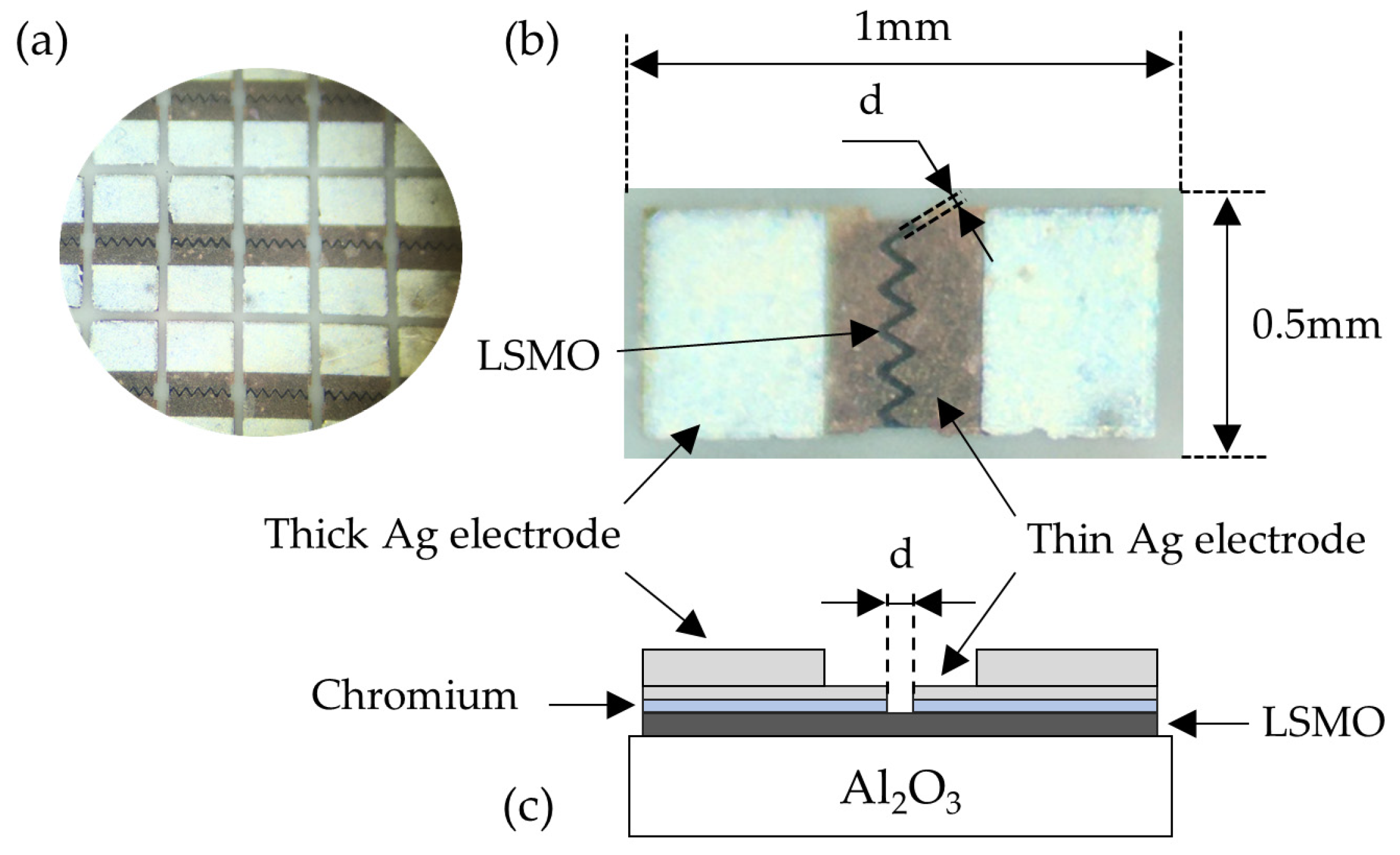 Sensors 25 01640 g002