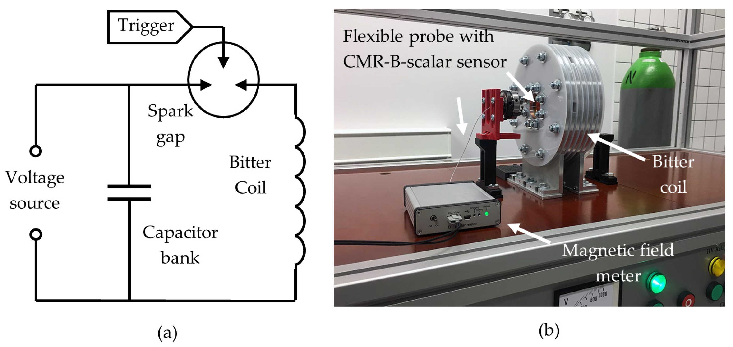 Sensors 25 01640 g013