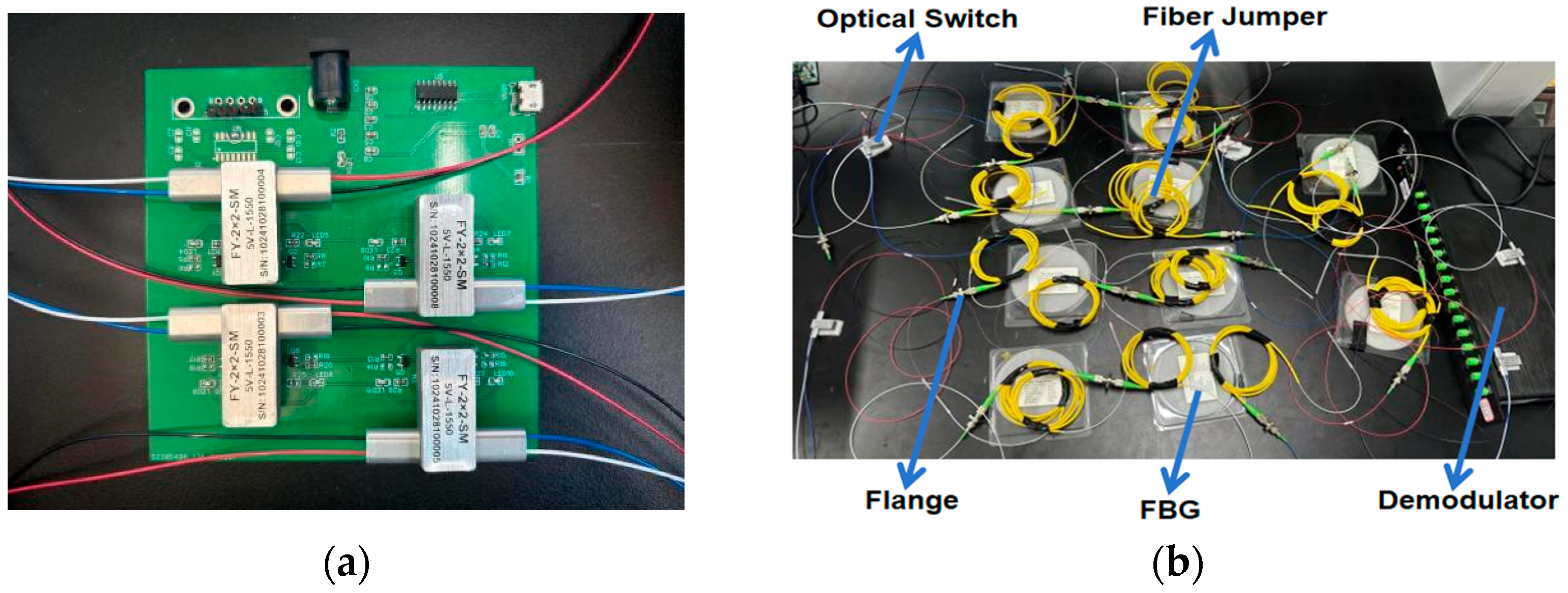 Sensors 25 01641 g001