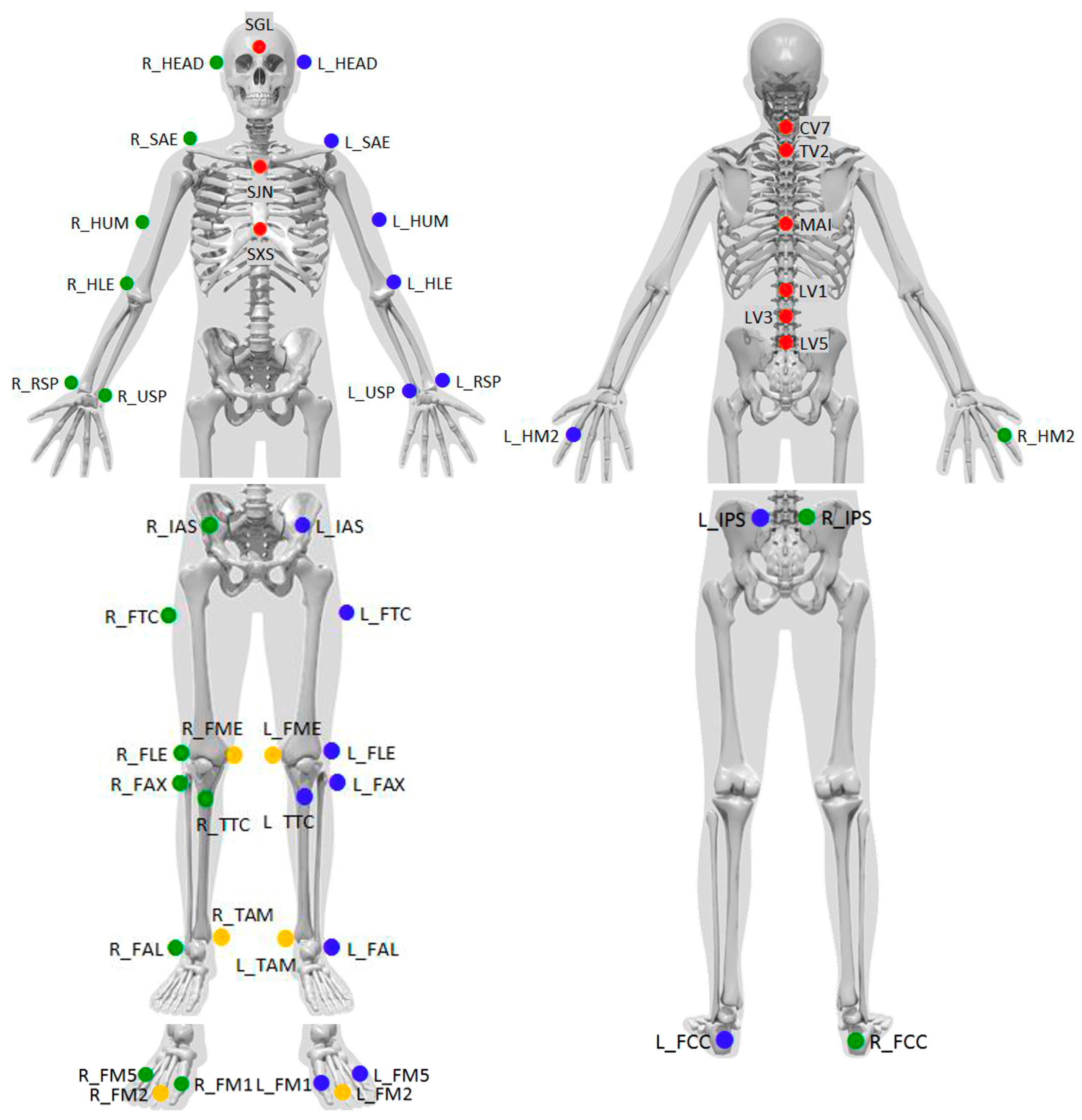 Sensors 25 01647 g001