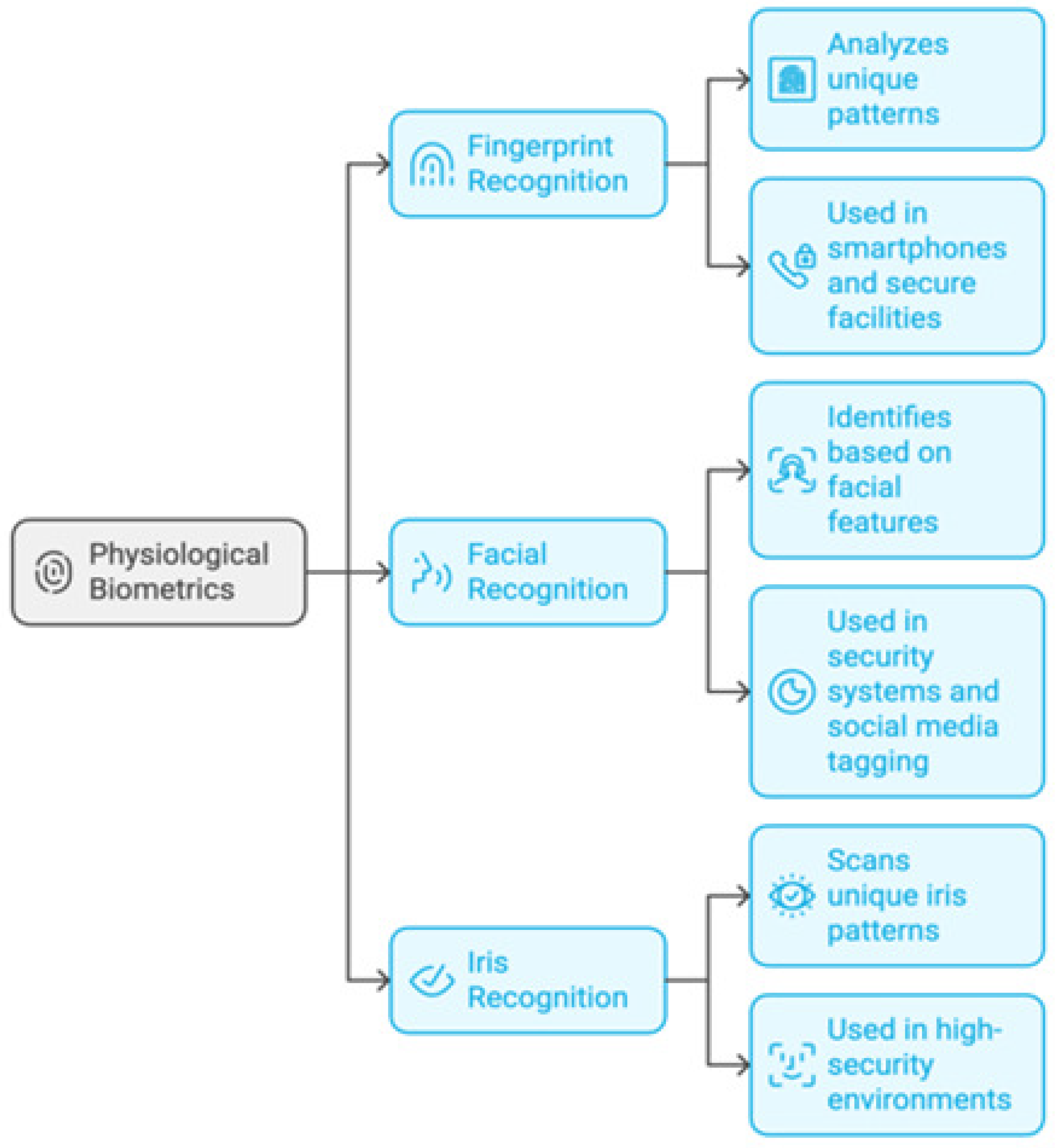 Sensors 25 01649 g012