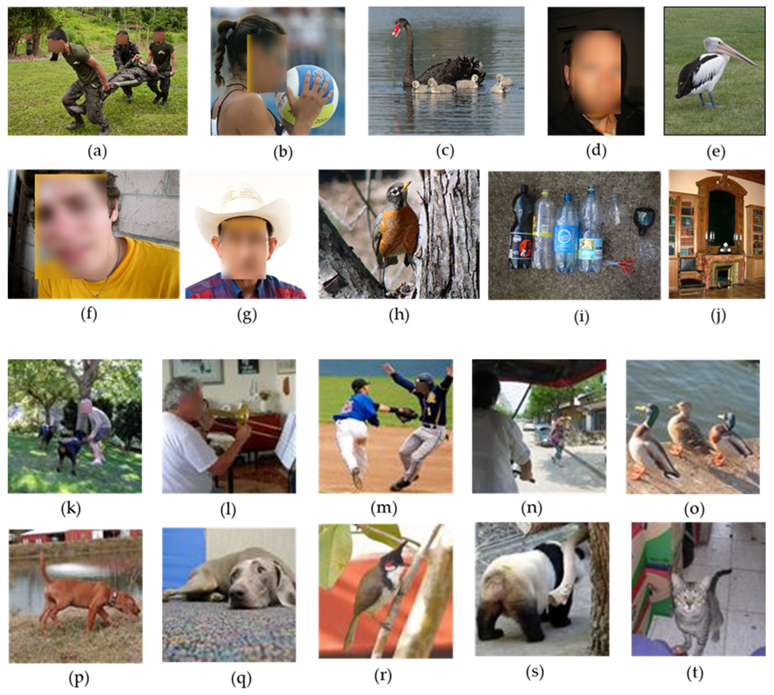 Sensors 25 01656 g020