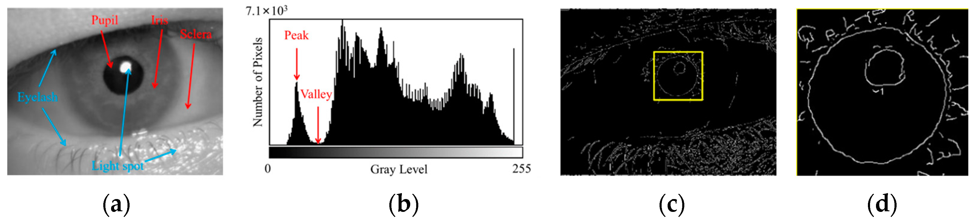 Sensors 25 01749 g001