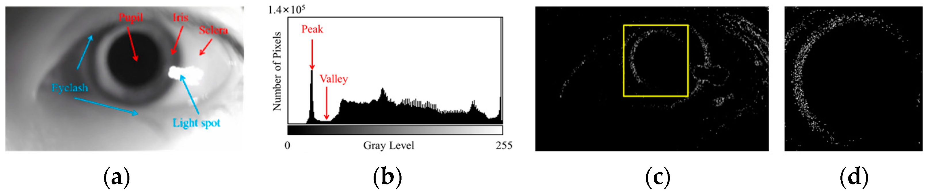 Sensors 25 01749 g002