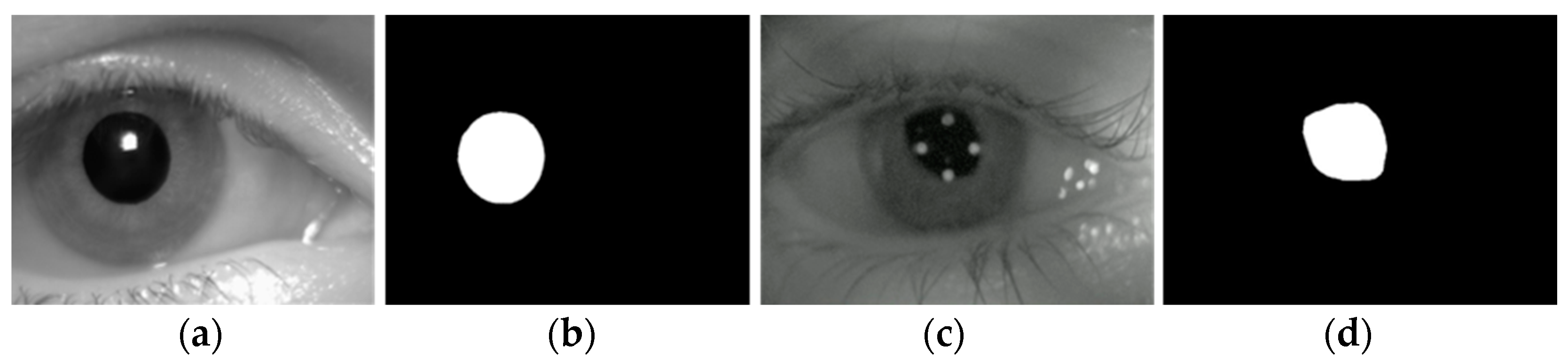 Sensors 25 01749 g008