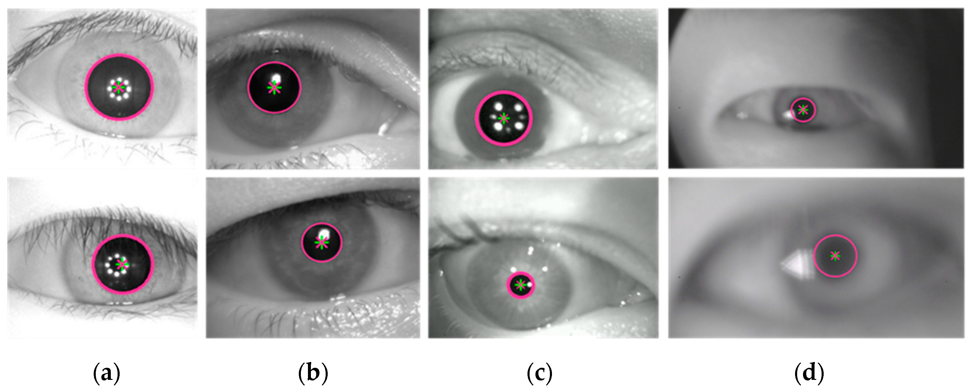 Sensors 25 01749 g009